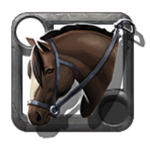 Riding Horse Skin: Brown Mare