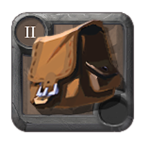 T2_BAG