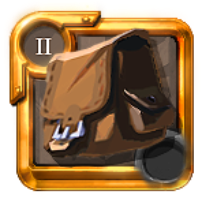 T2_BAG