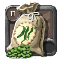 Bean