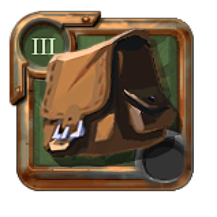 T3_BAG