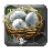 Hen Eggs