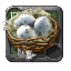 Hen Eggs