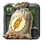 Wheat