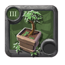 Bonsai de Castanheira