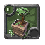 Chestnut Bonsai