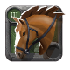 Riding Horse 3.0