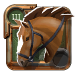 Riding Horse 3.0, Outstanding