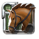 Riding Horse 3.0, Excellent
