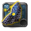Adept's Ancient Chain Rings