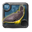 Adept's Druidic Bindings