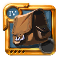 T4_BAG