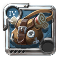 T4_BAG_INSIGHT