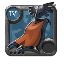 Adept's Morgana Cape