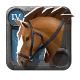 Riding Horse 4.0
