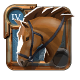 Riding Horse 4.0, Outstanding