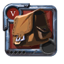 T5_BAG