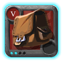 Expert's Bag