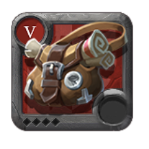 T5_BAG_INSIGHT