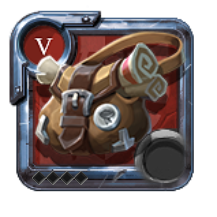 T5_BAG_INSIGHT