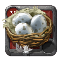 Goose Eggs