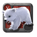 Urso das Neves Filhote