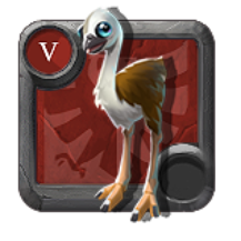 Baby Moabird