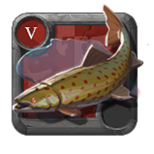 Spotted Trout