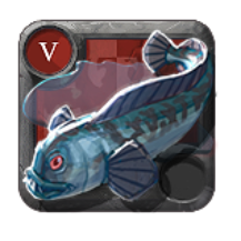 Peixe-lobo Pintado .1
