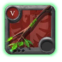 Expert's Nature Staff
