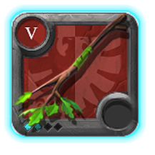 Expert's Nature Staff