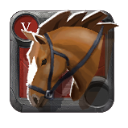 Cavalo de Montar do Perito .3