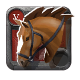 Riding Horse 5.0