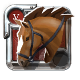 Riding Horse 5.0, Excellent