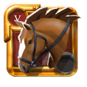 Expert's Riding Horse