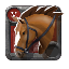 Expert's Riding Horse
