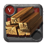 Expert's Planks