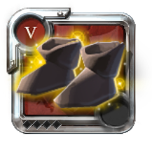 T5_SHOES_CLOTH_KEEPER