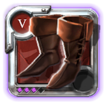 Expert's Royal Shoes
