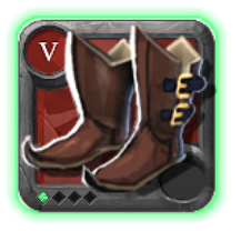 Expert's Hunter Shoes