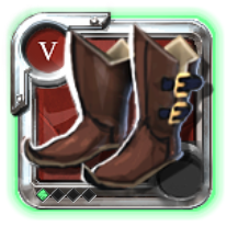 Expert's Hunter Shoes