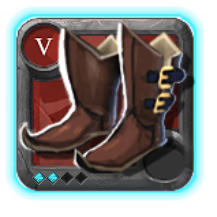 Expert's Hunter Shoes