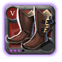 Expert's Hunter Shoes