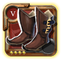 Expert's Hunter Shoes