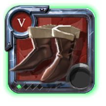 Expert's Assassin Shoes