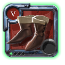 Expert's Assassin Shoes