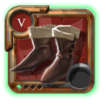Expert's Assassin Shoes