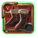 Expert's Assassin Shoes