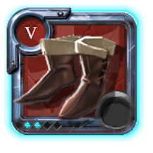 Expert's Assassin Shoes
