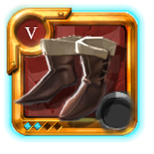Expert's Assassin Shoes